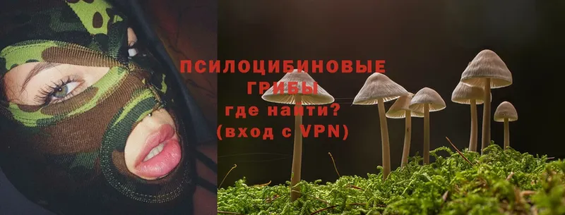 ОМГ ОМГ маркетплейс  Фокино  Галлюциногенные грибы Psilocybe 